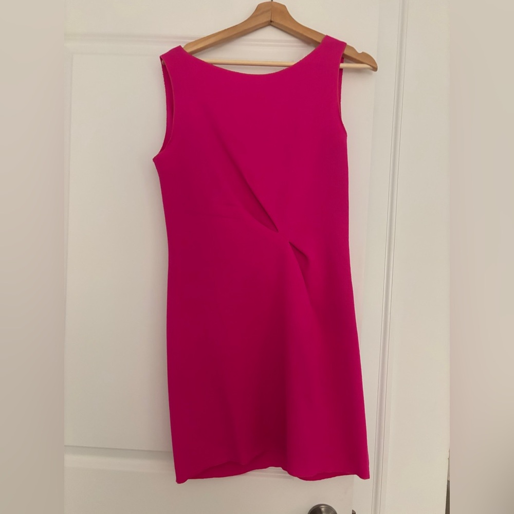 Roksanda Ilincic Vibrant Pink Mini Dress